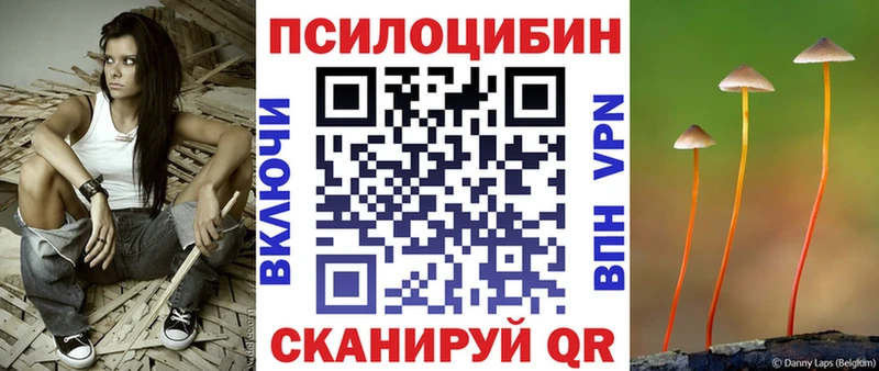 Псилоцибиновые грибы MAGIC MUSHROOMS  магазин  наркотиков  Николаевск-на-Амуре 